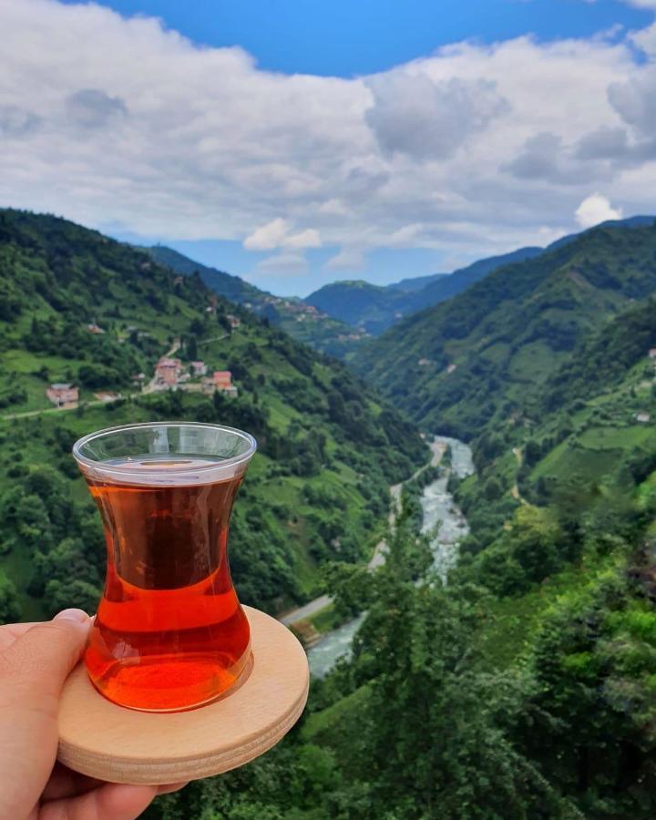 Puleri Suit Bungalow Çamlıhemşin 外观 照片